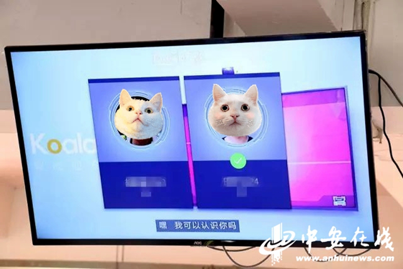 20191106093052926348.jpg 00301038863_8b783ed7.jpg